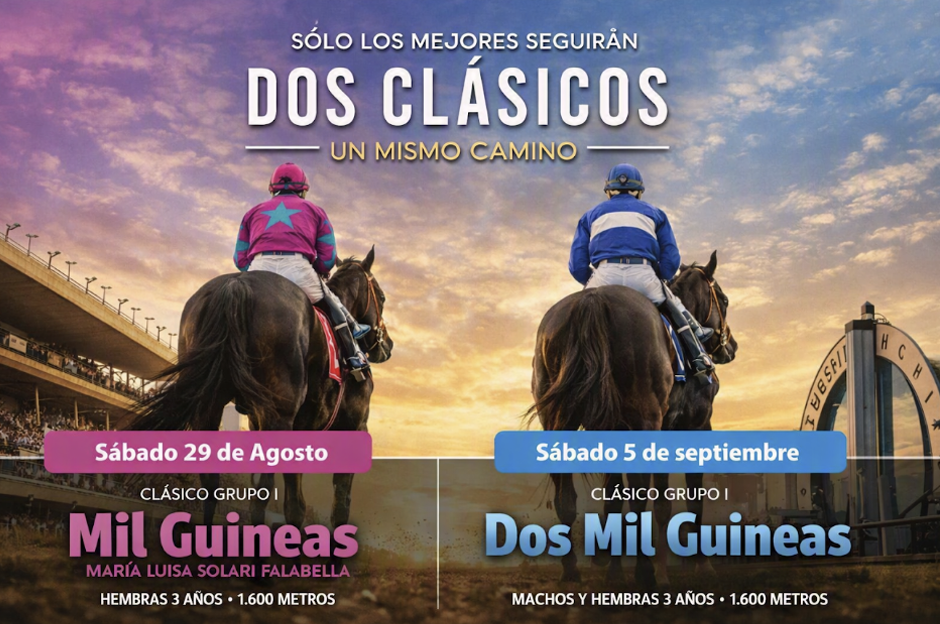 Mil Guineas 2026: el paso estelar hacia la Cuádruple Corona 