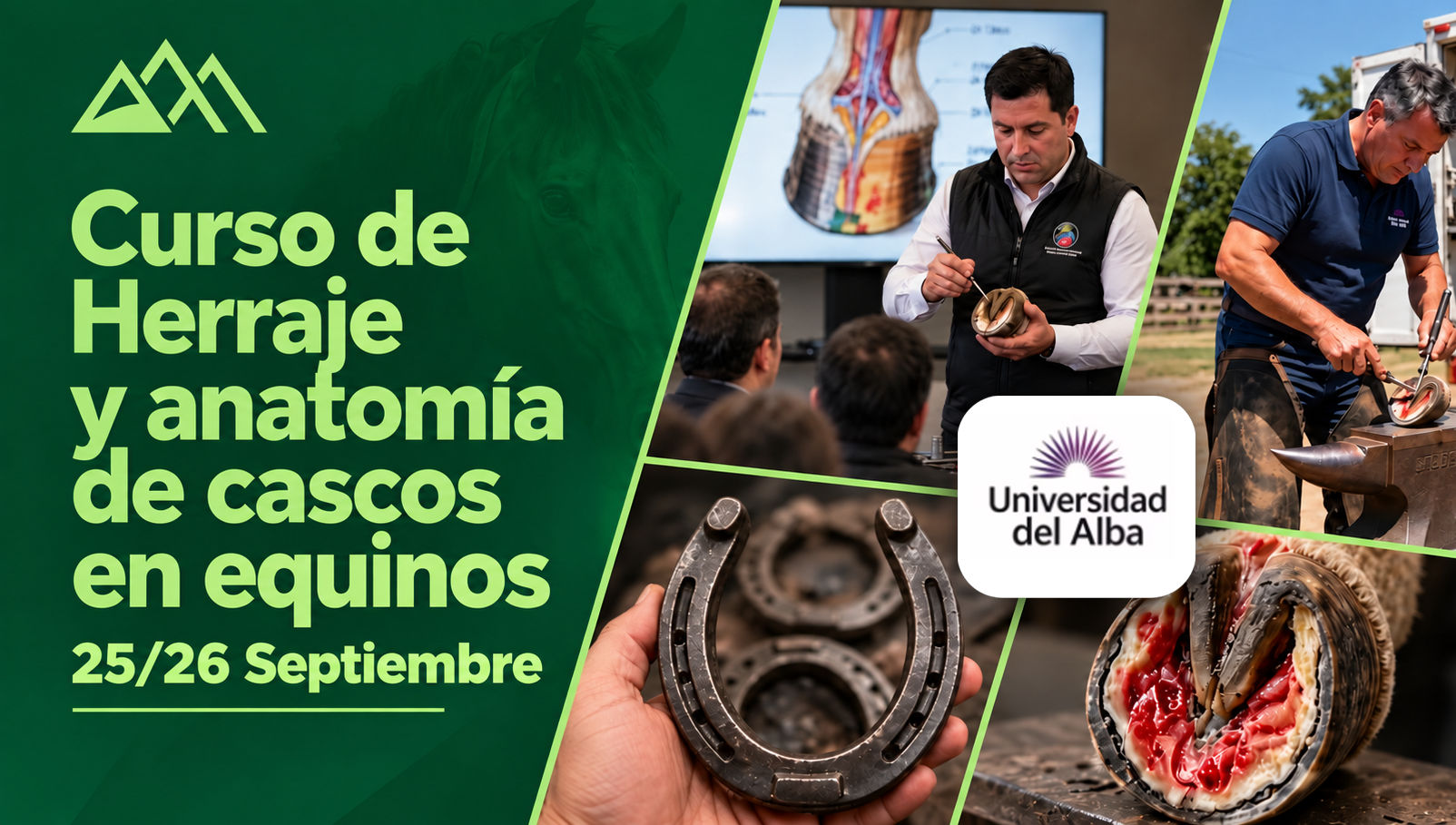 Inscripciones abiertas: Sé parte del “Curso de Herraje y Anatomía de cascos en equino”