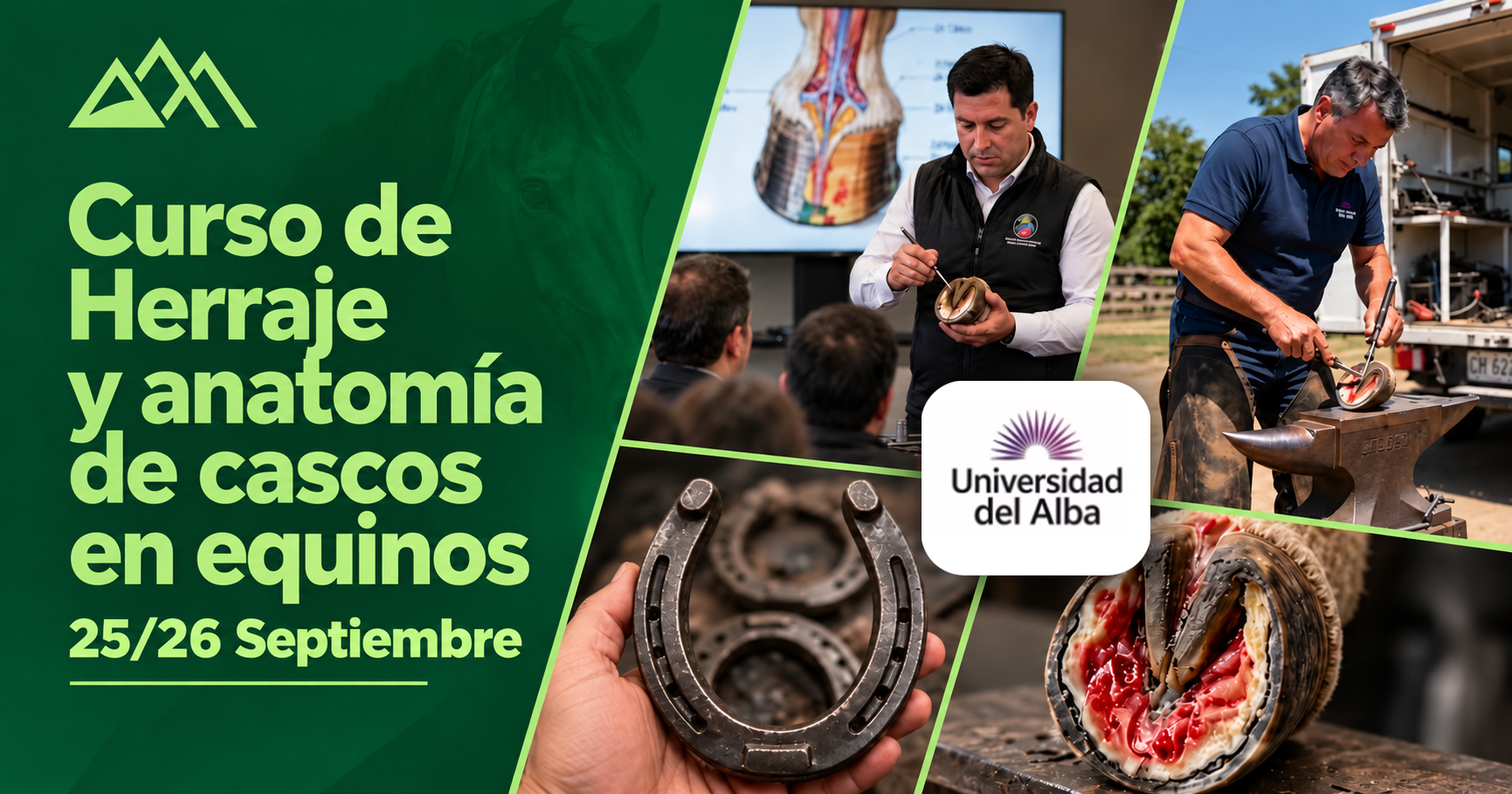 Inscripciones abiertas: Sé parte del “Curso de Herraje y Anatomía de cascos en equino”